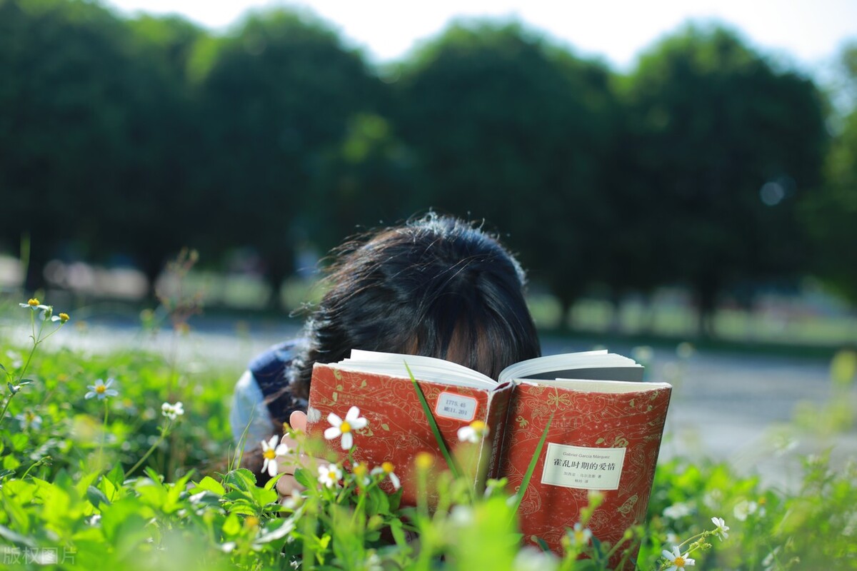 gdi高职高专排行榜2023发布,武汉市高职高专排名一览表