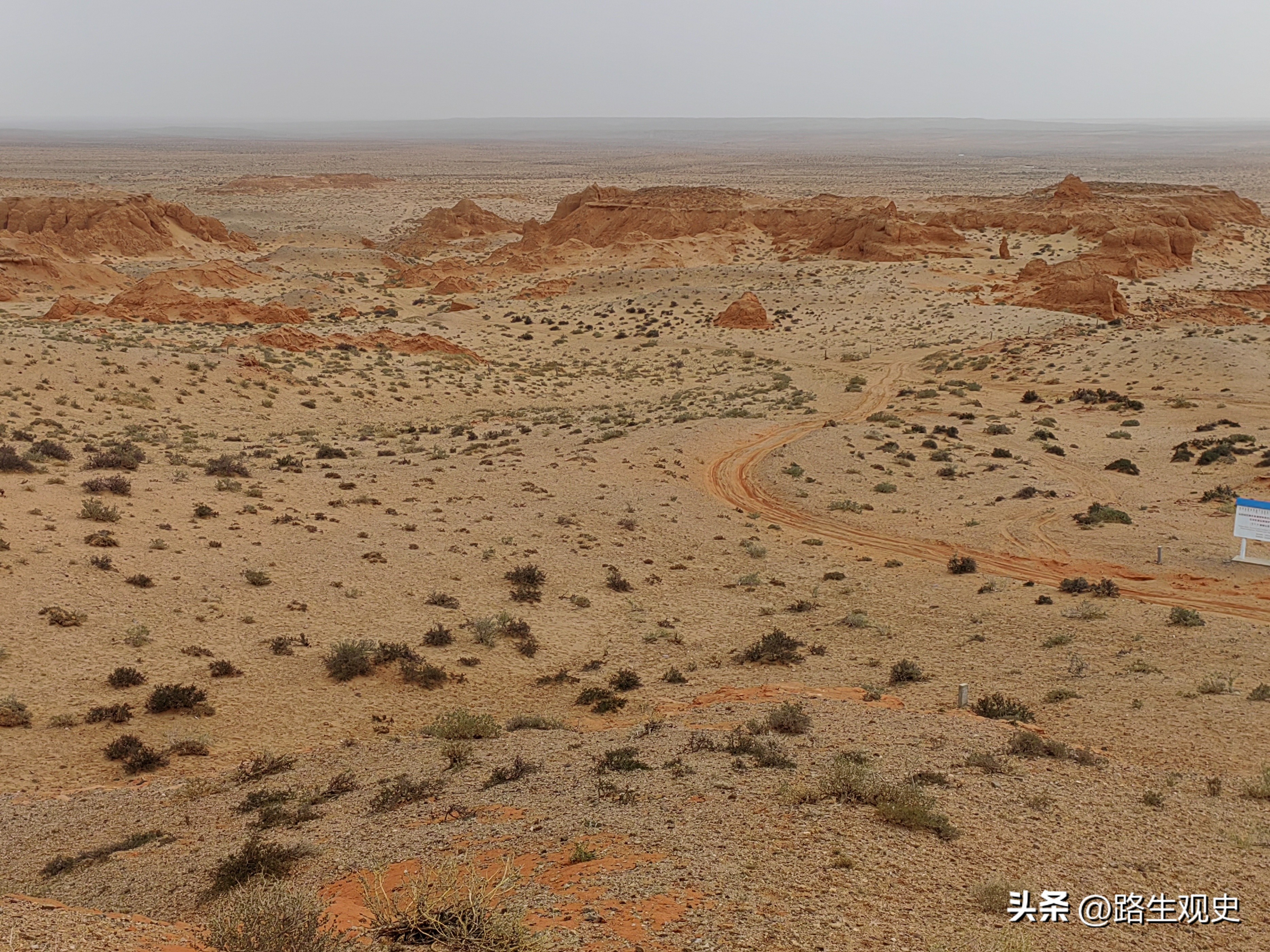 内蒙古恐龙遗迹有哪些,内蒙古草原几百上千年前是海吗
