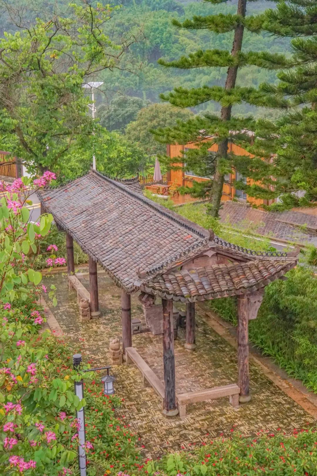 2021广州打卡必去的地方,广州必打卡的十个免费景点