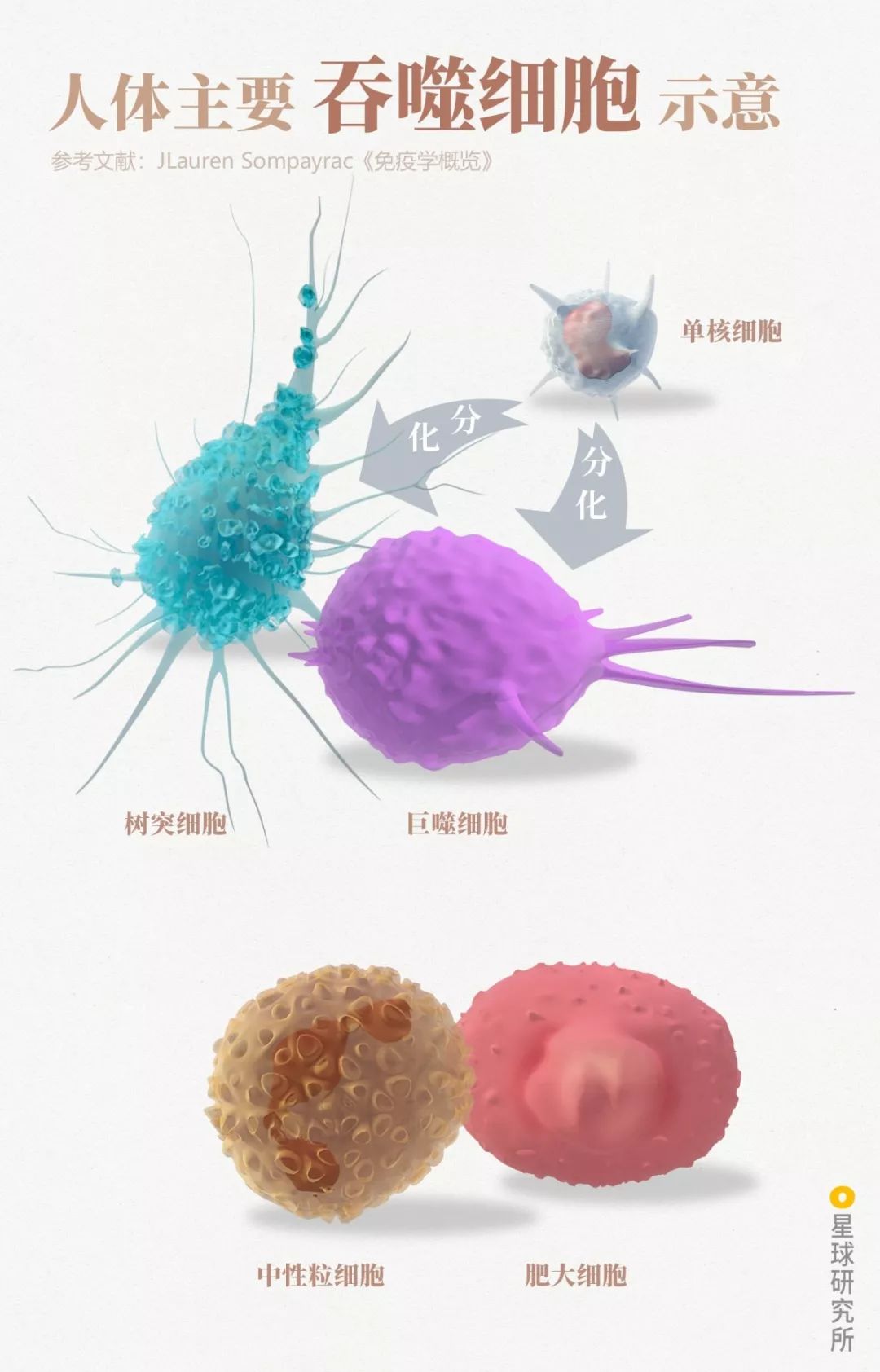 致与病毒搏斗的你！