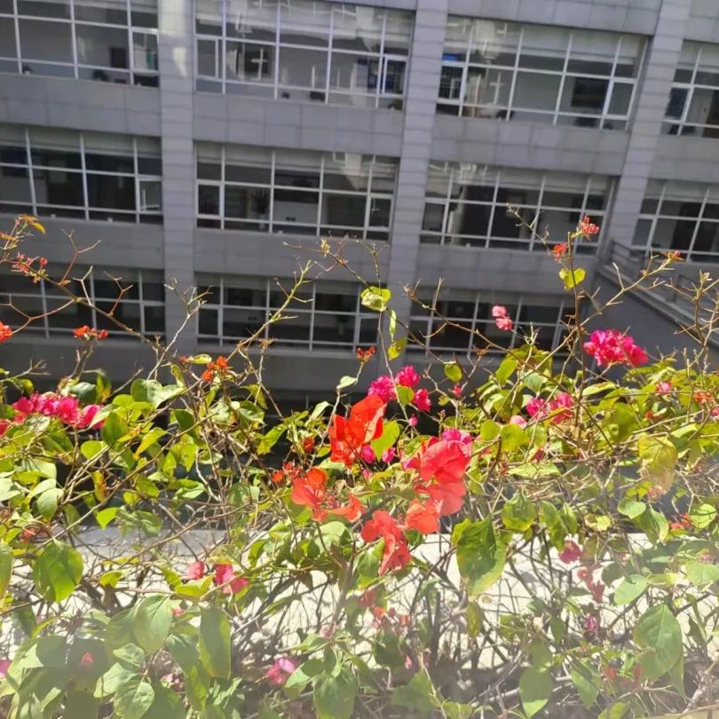 深圳宝安图书馆最新开放时间,深圳罗湖区图书馆什么时候开放