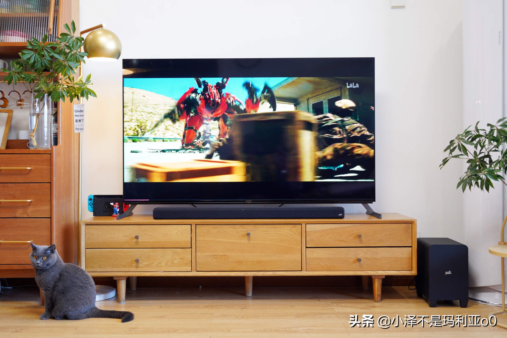 别再把条形音响当回音壁了！深入浅出，手把手教你分辨真假回音壁