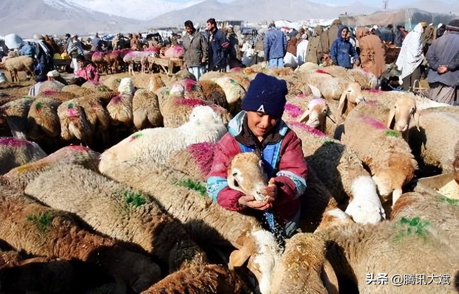 印度古尔邦节,古尔邦节印度