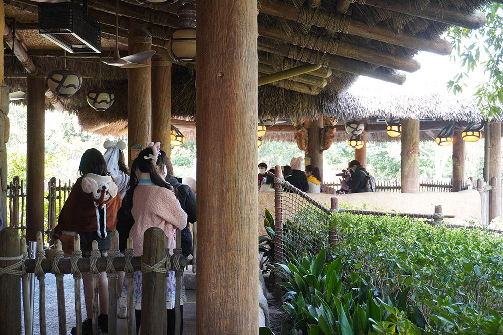 排队5小时、互动2分钟，与玲娜贝儿拥抱背后