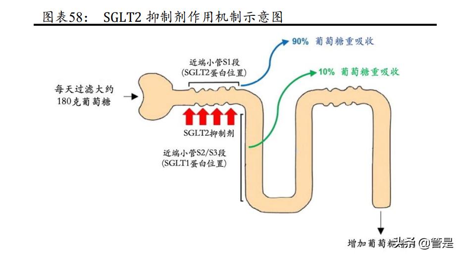 一图看懂四环医药2019全年业绩,四环医药2020年研报