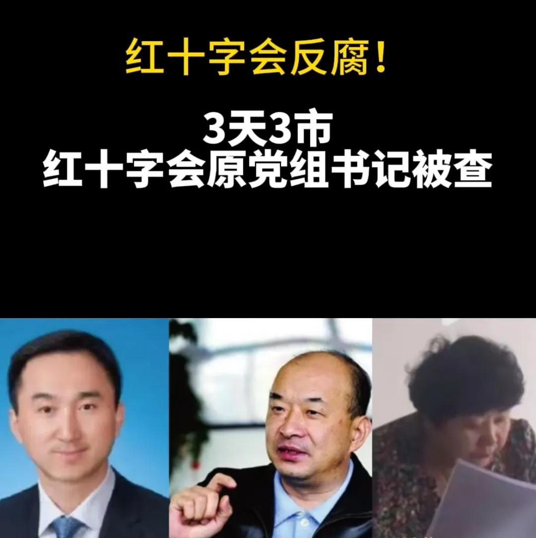河南省慈善总会强捐,河南省慈善总会副会长