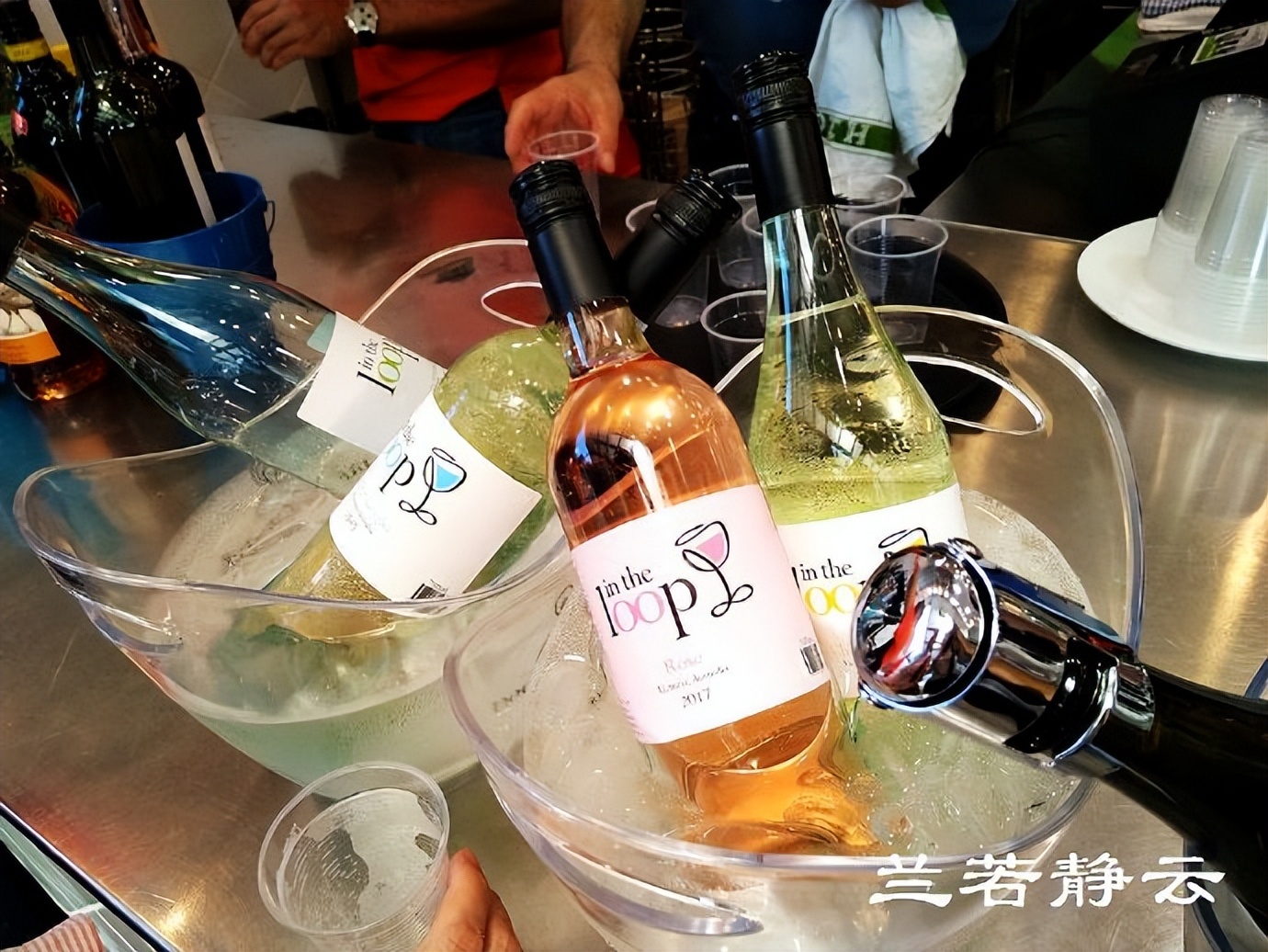 悉尼最大的海鲜鱼市场在哪里,海鲜市场澳洲龙虾