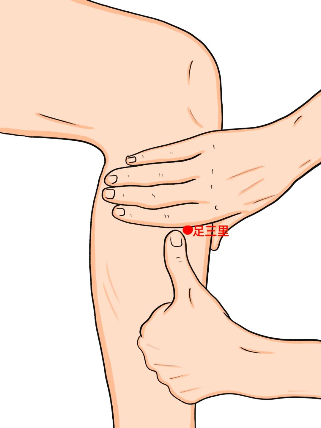 脾虚湿重清热利湿行气化湿,脾虚湿重吃什么中成药减肥