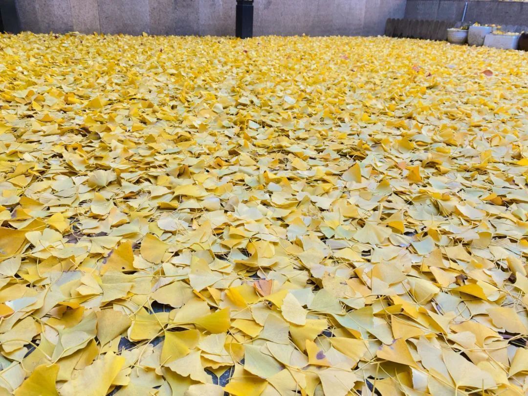 做育儿嫂选择去哪个城市最适合,做育儿嫂的心酸