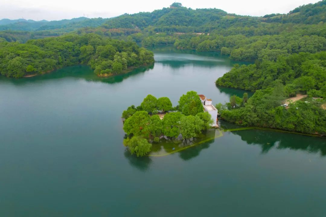 成都免费露营地推荐过夜,成都周边露营地推荐自驾