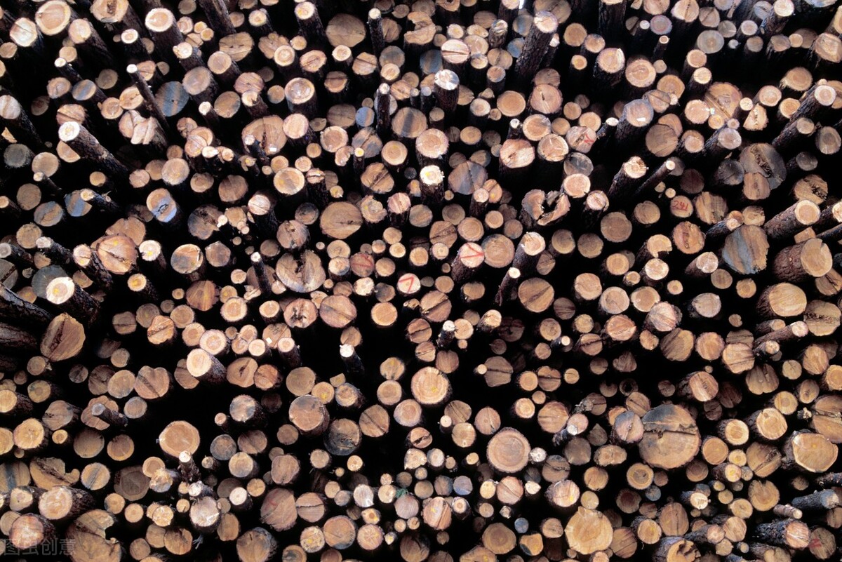 铁桦树斧头真的砍不动吗,铁桦木是最硬的木头吗