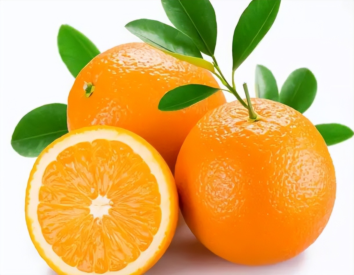 四个月的孩子做辅食视频,育儿知识六个月宝宝吃什么