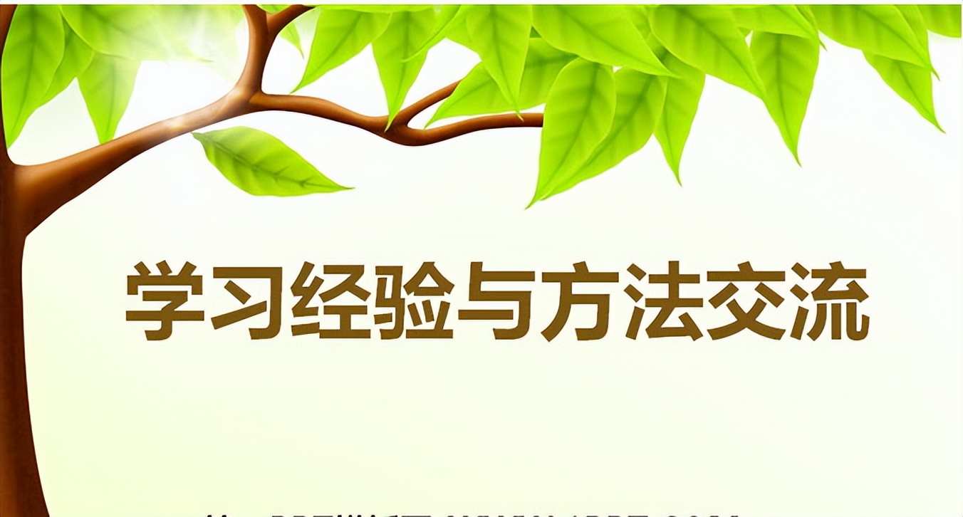 如何区分中国程序员和外国程序员,国外程序员与国内程序员