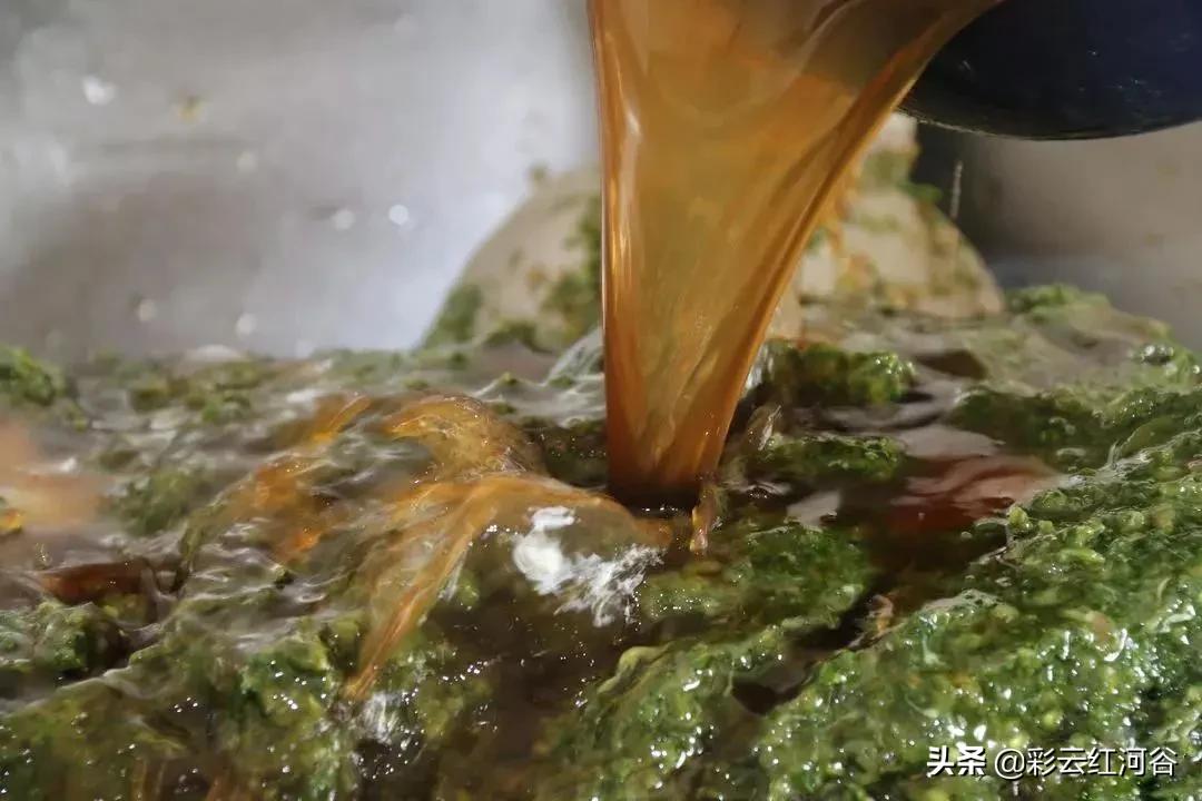 食物链顶端的云南人搞笑,云南人食物链顶端