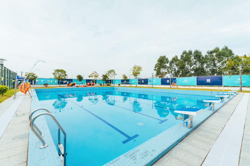 广州番禺国际小学校排名,番禺区的国际学校