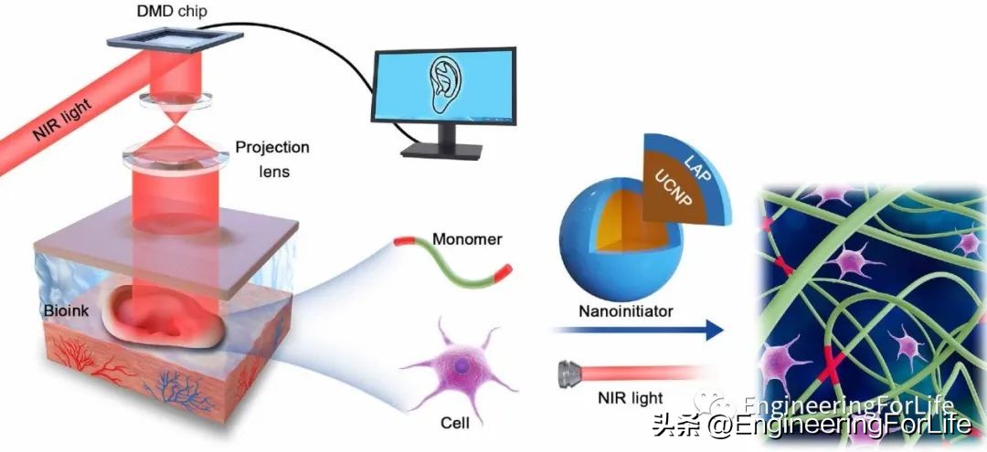 转换思维在生活中的运用,水凝胶纳米粒子