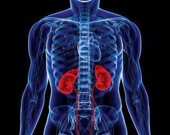 想要的事做不到怎么办,想要做点什么事又不知道从哪做起