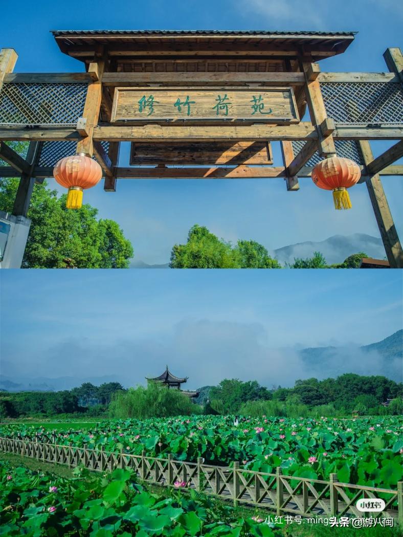 世界最大的梯田,世界梯田之最