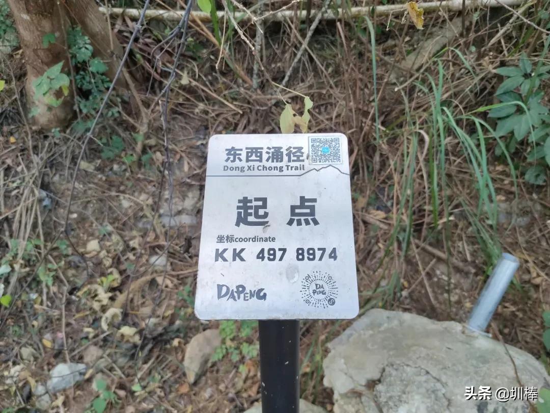 东西涌海岸线徒步从哪里进去,深圳东西涌海岸线徒步要门票吗