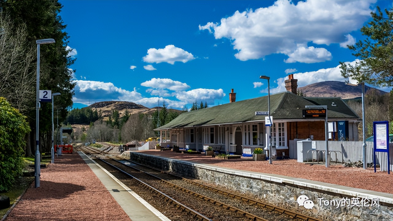 不用外出也可以欣赏草原美景,英国的惬意风景