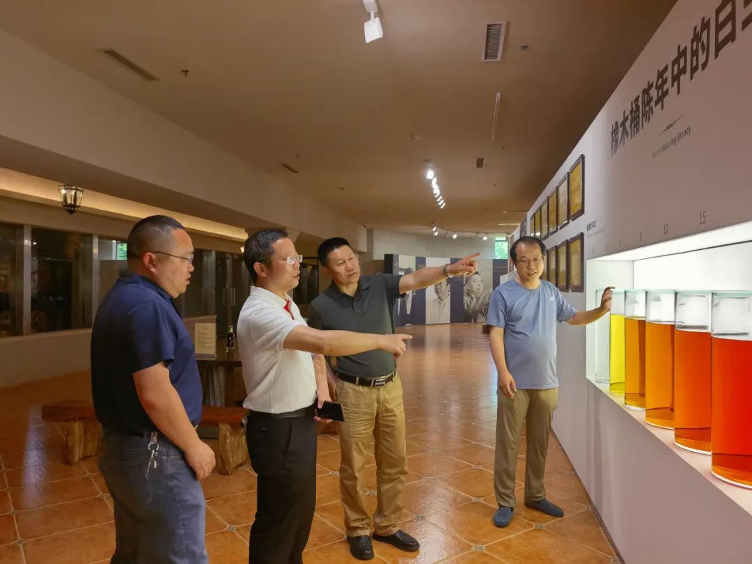 张裕百年酒峰,张裕百年特选级干红葡萄酒