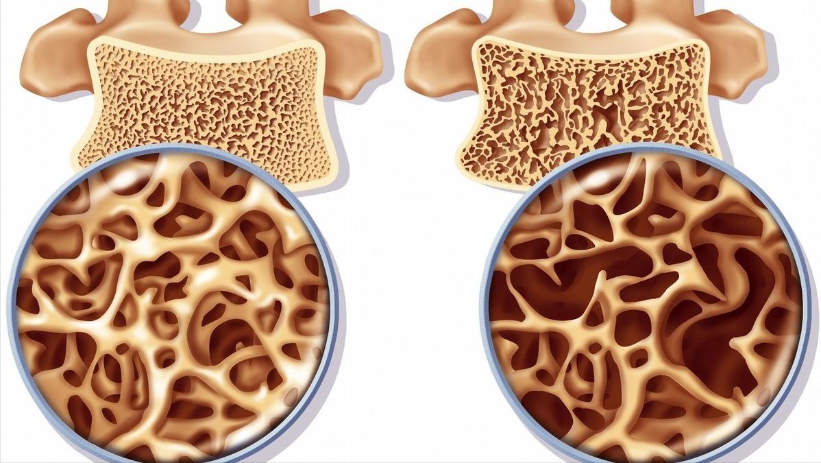 几块钱的维生素b6和几百的区别,维生素b6便宜的和贵的区别