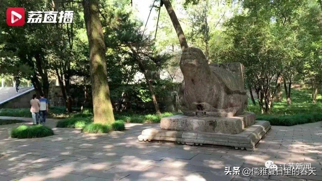 伤心！南京灵谷寺明代龟趺脖子被游客蜡熏黑或不可逆损伤