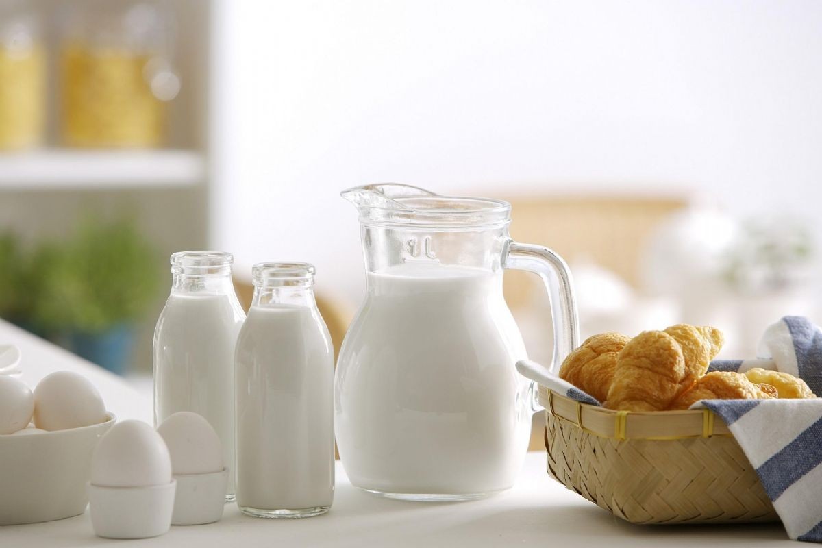 立夏吃什么菜提高免疫力,立夏吃什么能提高免疫力