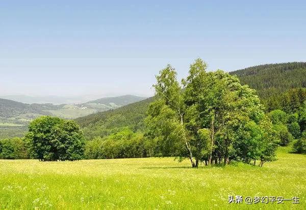 我的师父完整版相声,我的老师傅作文高中