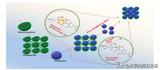 改性壳聚糖吸附重金属离子,改性活性炭吸附实验报告