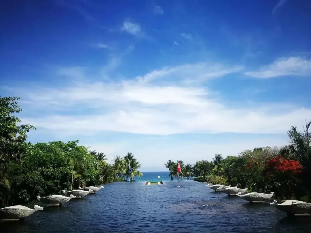 三亚选择酒店攻略,去三亚怎么选酒店才不会踩雷