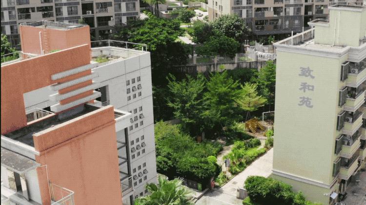 2个北大学霸，在房价10万一平的深圳市中心，造了80座花园