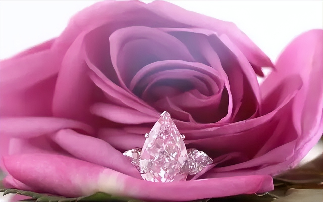 粉钻求婚,拍卖来的粉钻拿去求婚