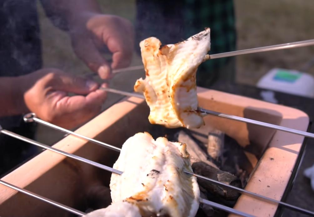 十种颜值最高的鱼,这些长相奇怪的鱼你认识几条