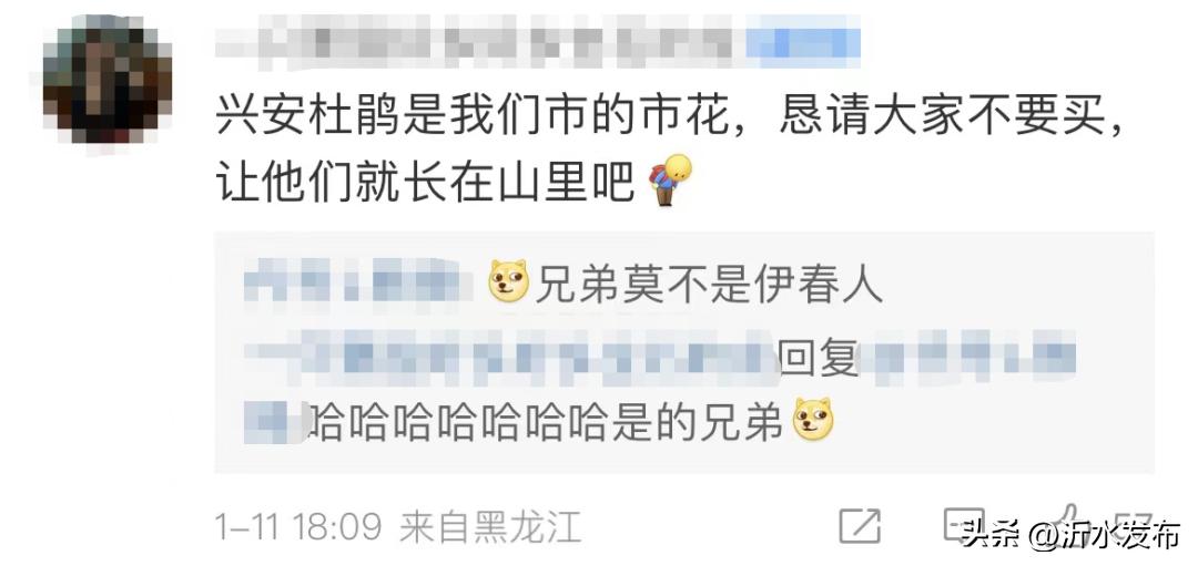 不要买它！“有毒，还违法！”