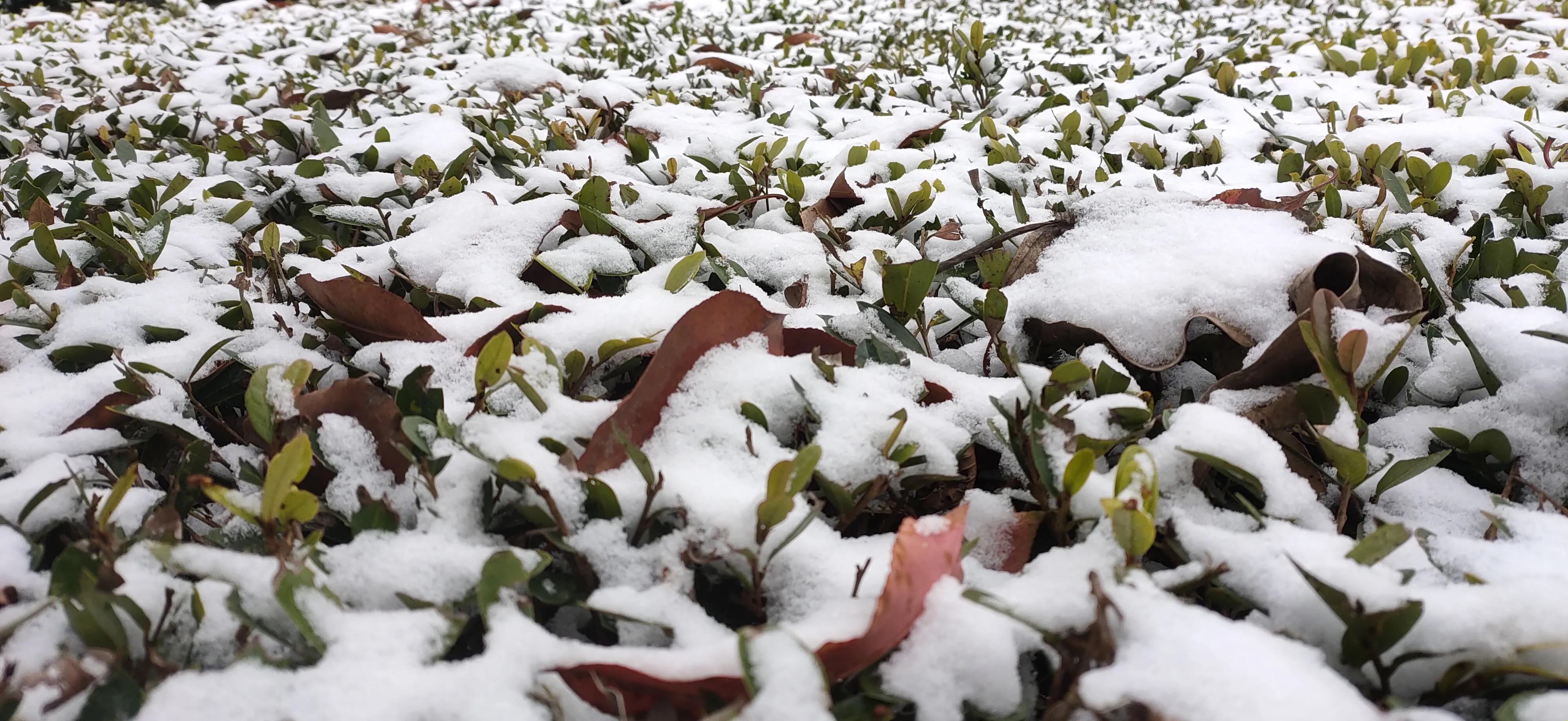 闄や簡閯欒杩樻槸閯欒,娌夐粯灏辨槸閯欒