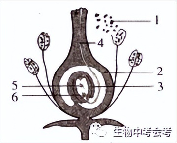 初中生物会考试卷复习视频,中考会考生物试卷