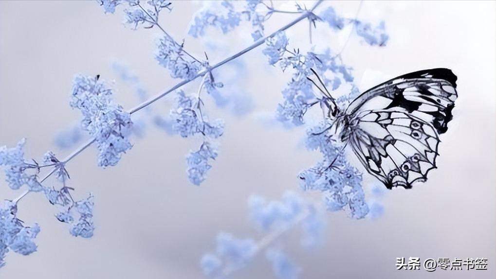 富有了要低调不可狂妄,真正富有的人都很低调