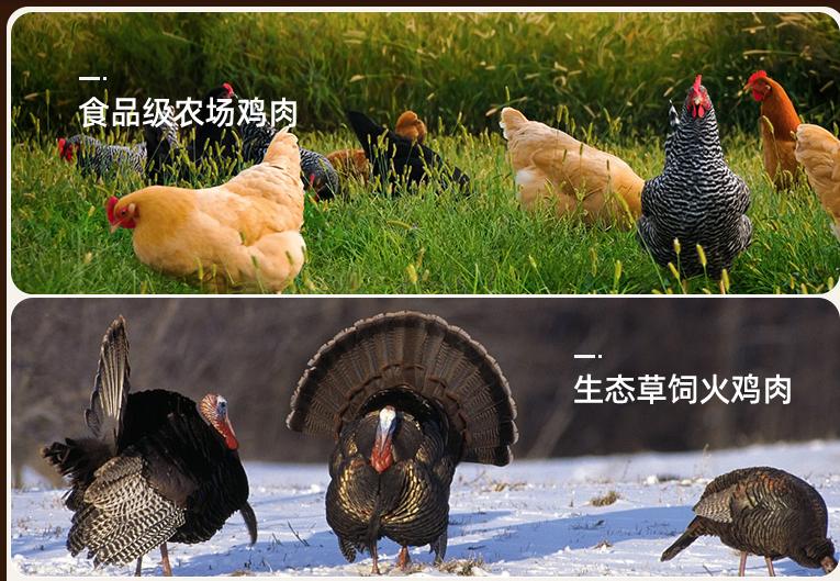 什么牌子的猫粮最好吃又不贵,雅贝迪牌子猫粮全国排名第一