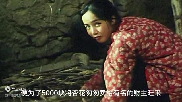 蒋雯丽拍的农村电影近期,蒋雯丽最感人的视频