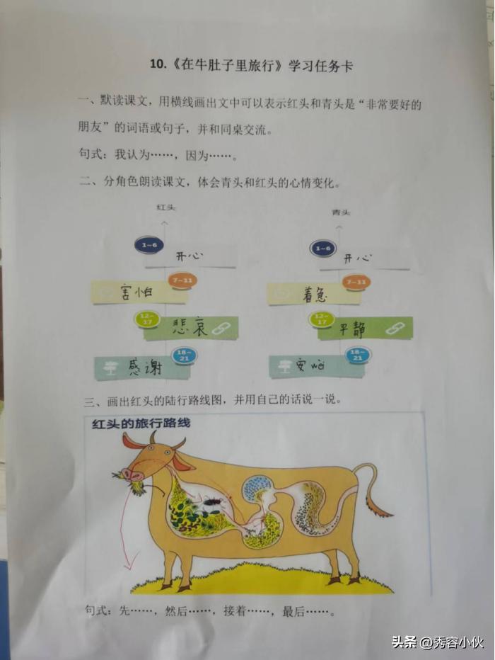 小学开展新课标学习活动,小学学习新课标第一部分活动信息