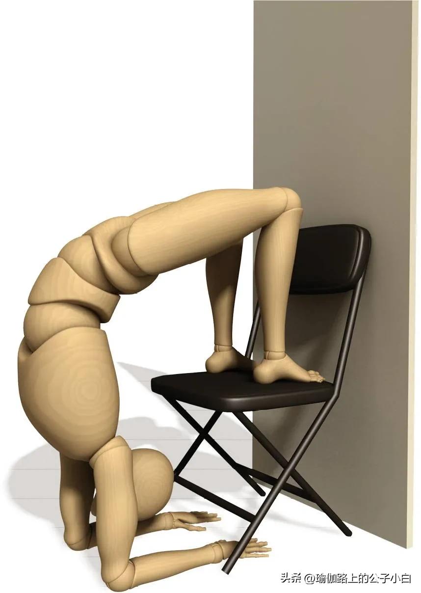 瑜伽解剖体式哈他,瑜伽解剖体式讲解