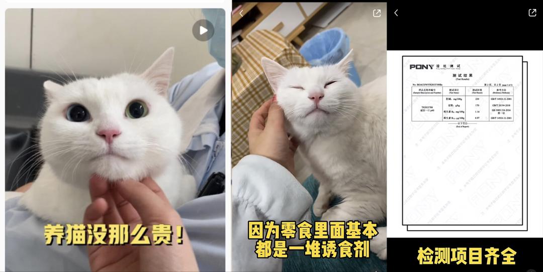 如何打造小红书爆文笔记,小红书爆文一次后流量降低