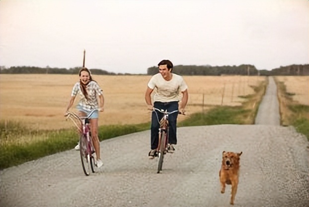 聪明的贝利,表明了动物与人之间的羁绊,表明动物也是有生命的