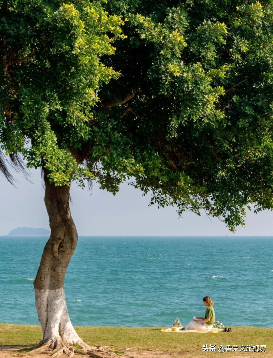 厦门橘子海,去厦门想看海住在哪里合适