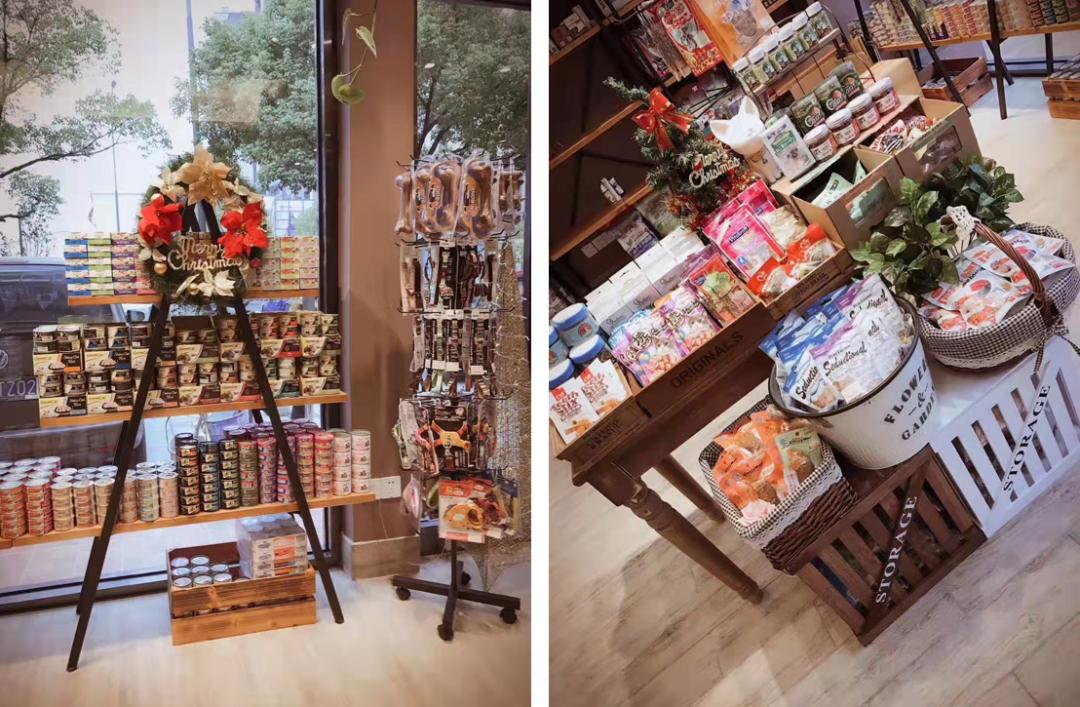 狗道宠物dogway上海店,专访doggo