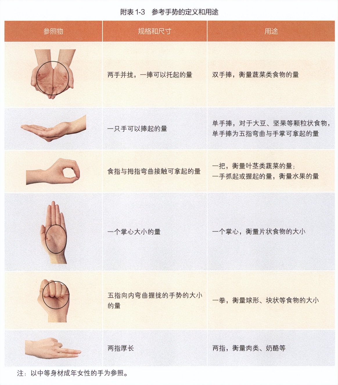 如何看食物的量,认识食物大全