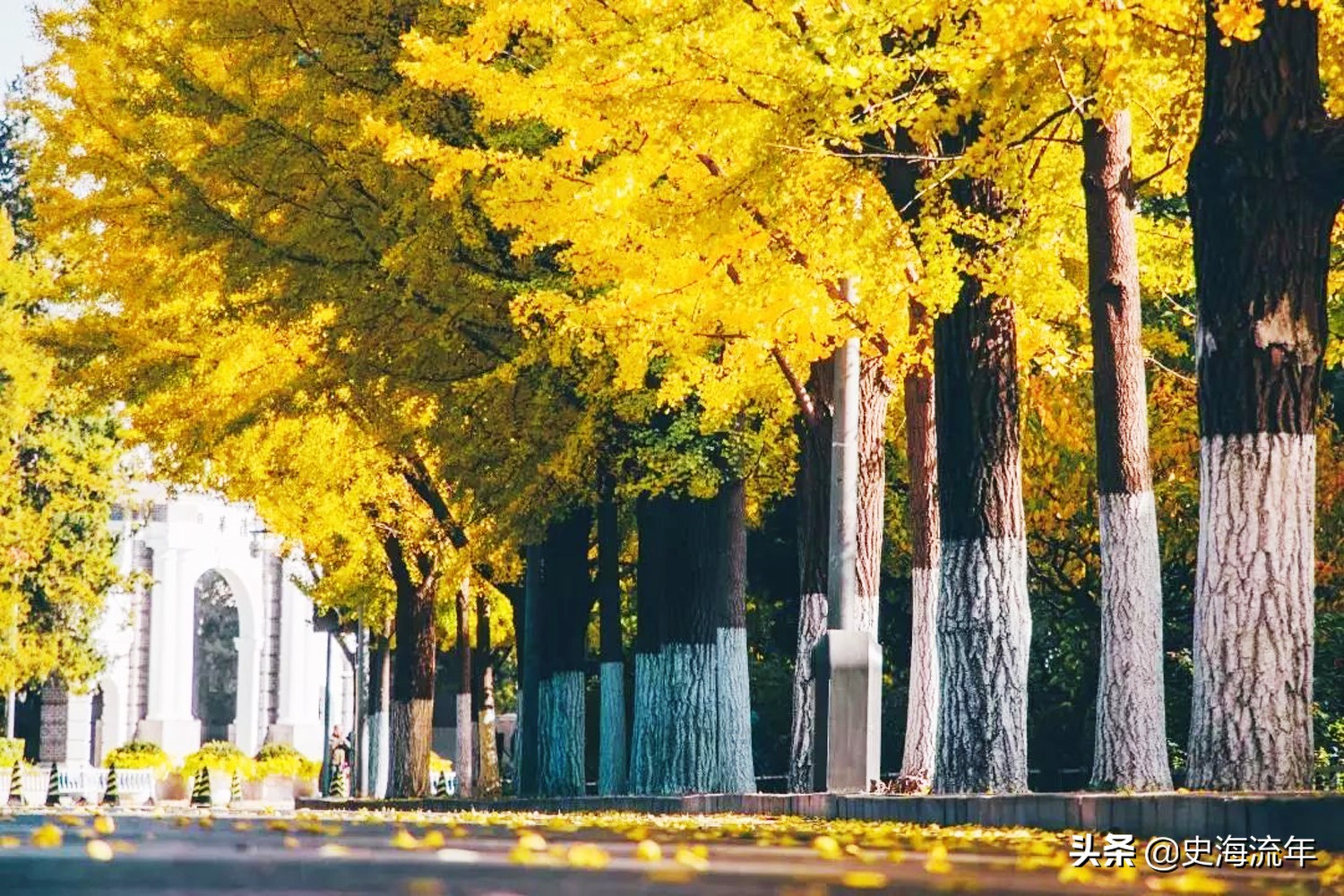 北大清华、浙大复旦不是顶尖！2021年中国最好的高校法学专业盘点