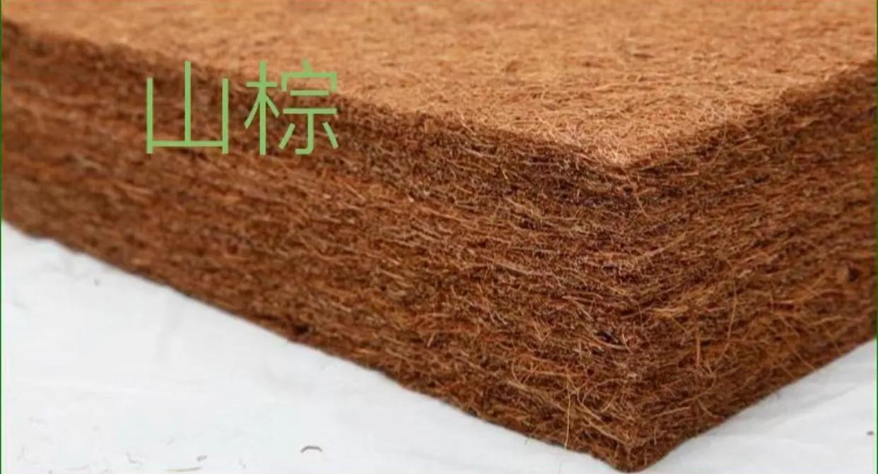 试睡100天床垫,贵的床垫和便宜的床垫差在哪里