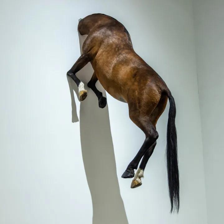 RR·PEOPLE|卡特兰：恶作剧艺术家